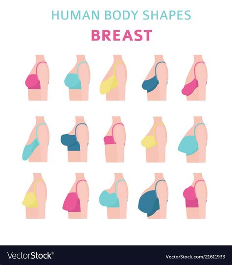 petite teen boobs|The 12 Different Breast Shapes and Types